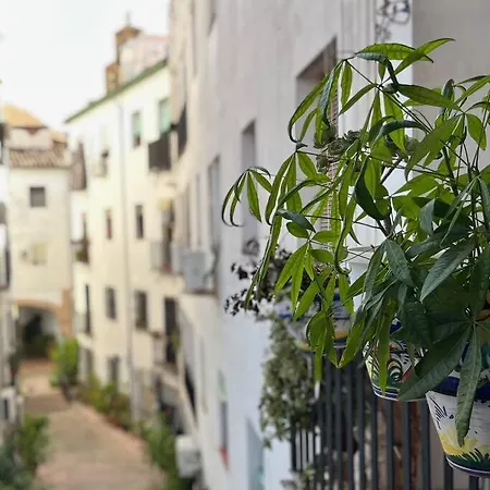 Appartement Kenza